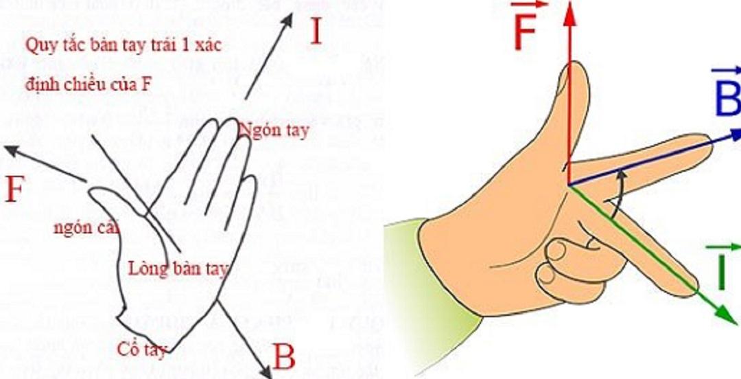 Định nghĩa về quy tắc bàn tay trái