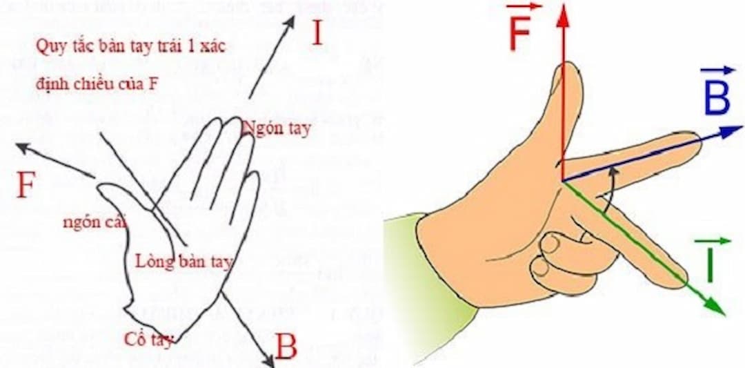 Xác định lực điện từ quy tắc bàn tay trái